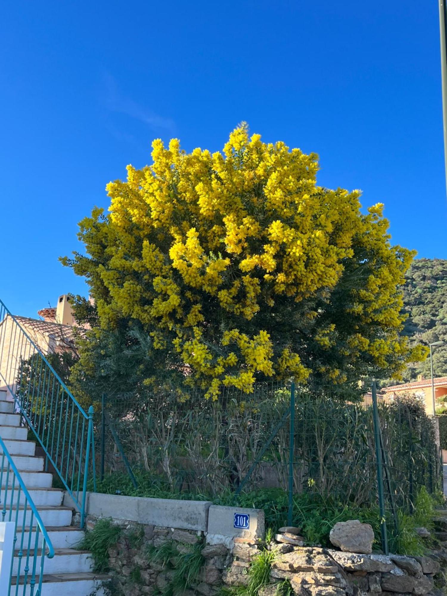 Le Lavandou St Clair Exterior foto