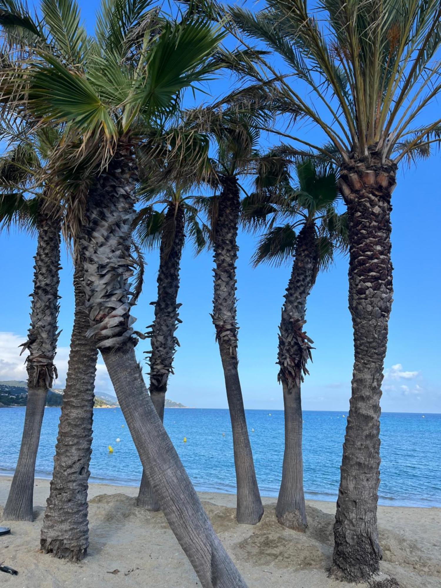Le Lavandou St Clair Exterior foto